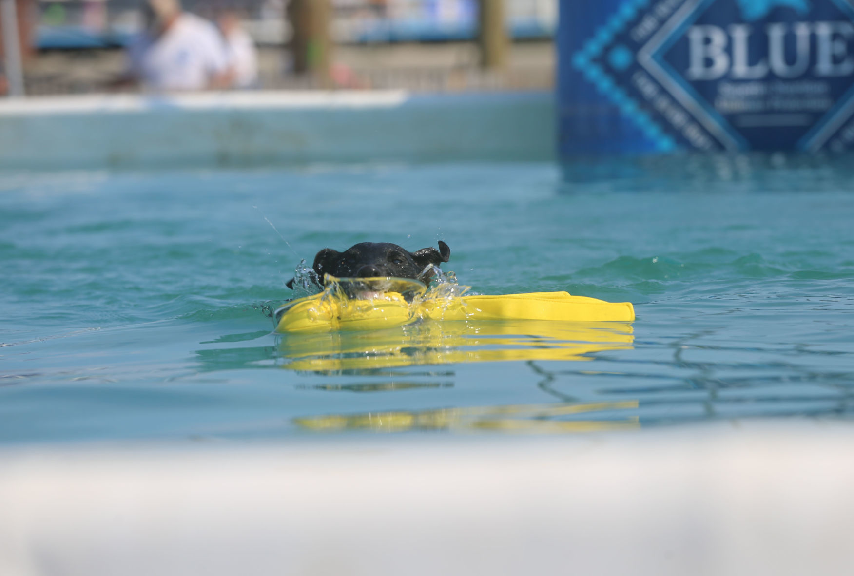 090919_gal_dockdogsWW (26)